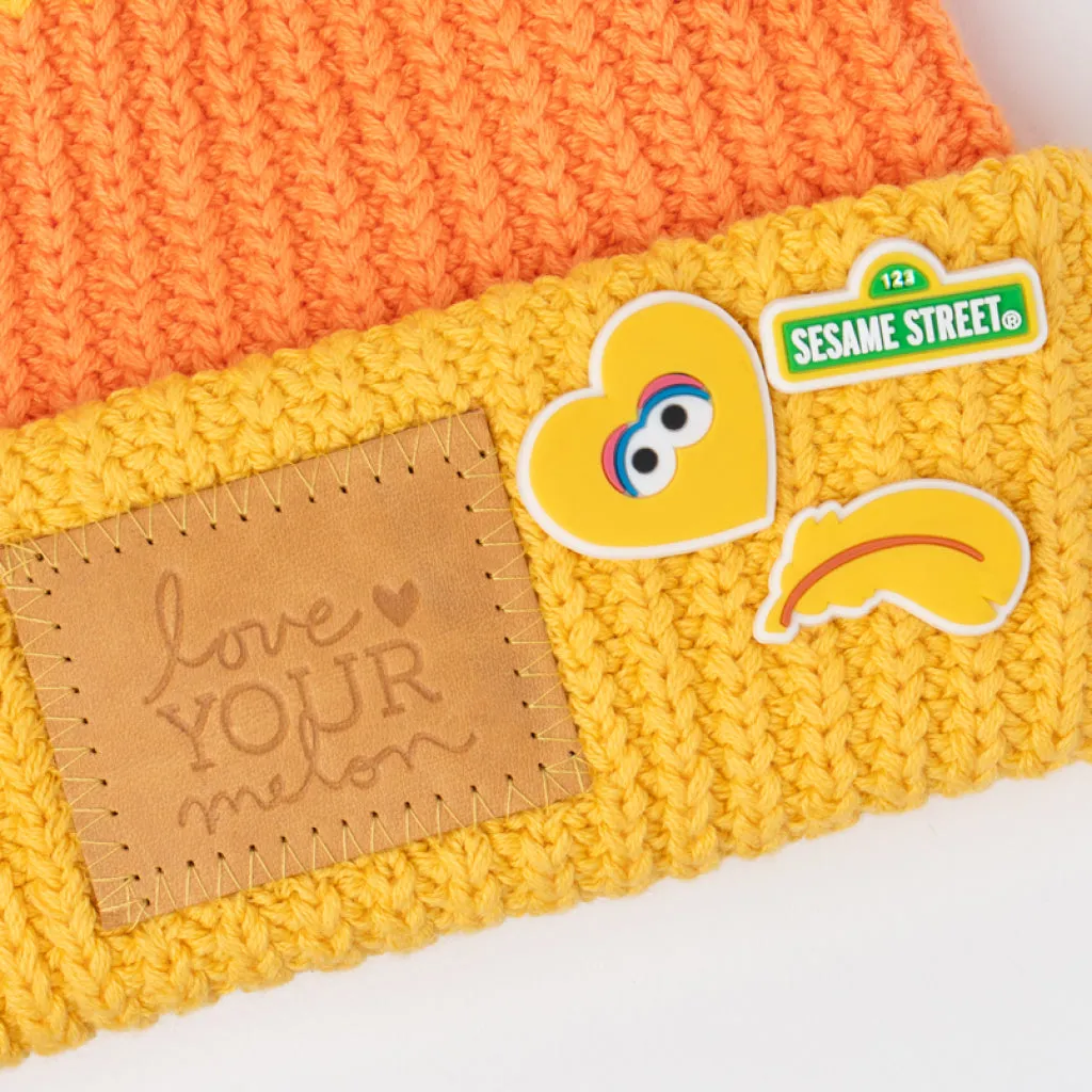 Big Bird Pom Beanie with Charms