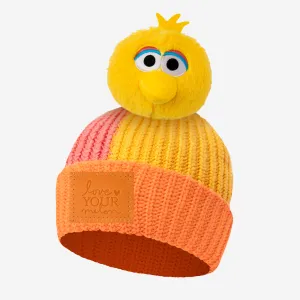 Kids Big Bird Pom Beanie