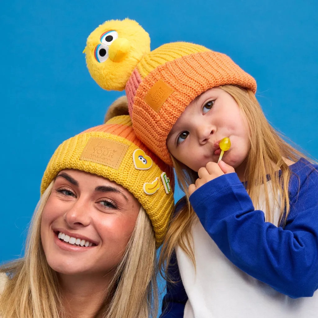 Toddler Big Bird Pom Beanie